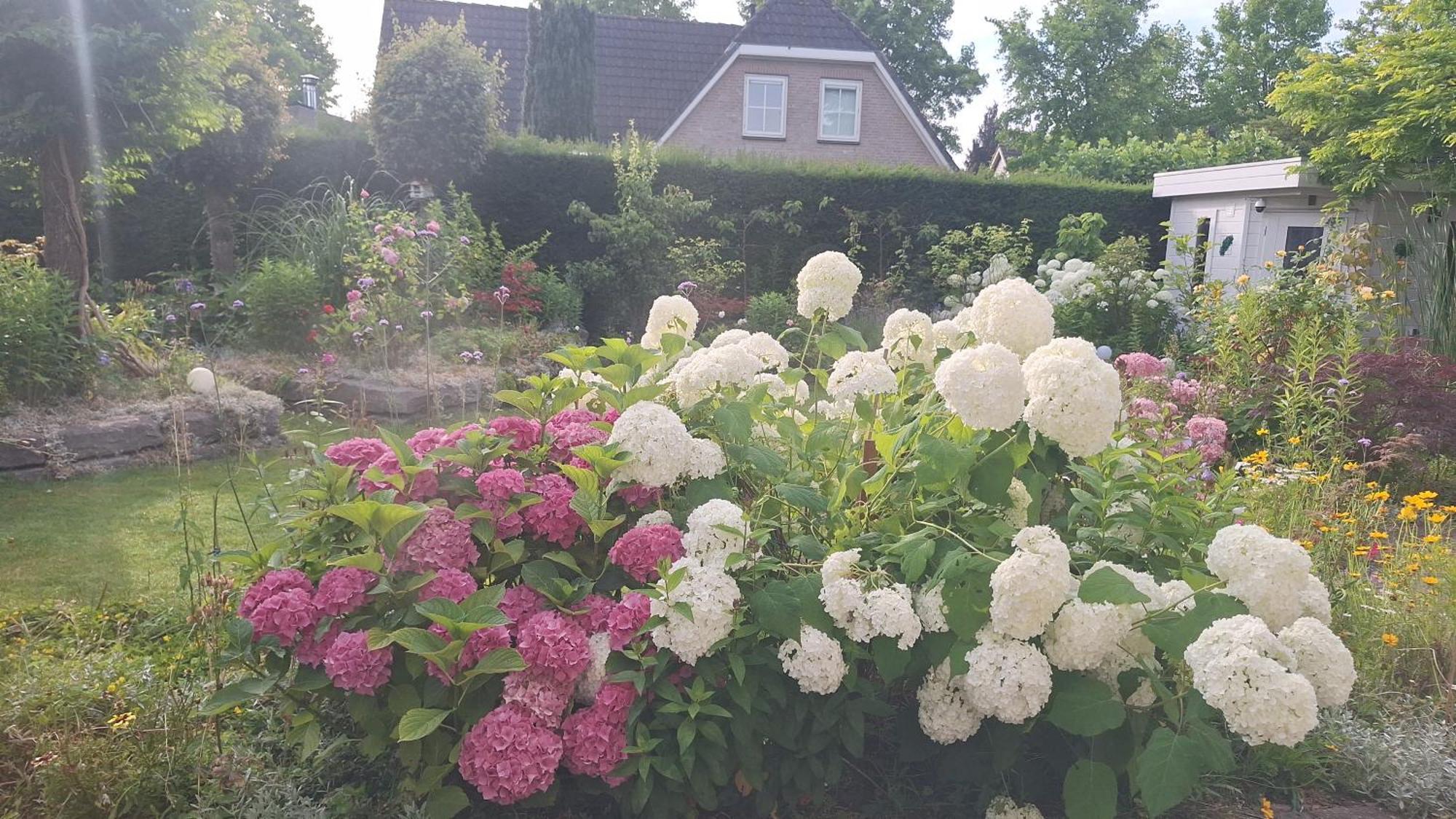 Villa Dajan Almere Exterior foto